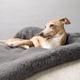 Charley Chau Faux Fur Dog Blanket In Russian Blue, thumbnail 2 of 5