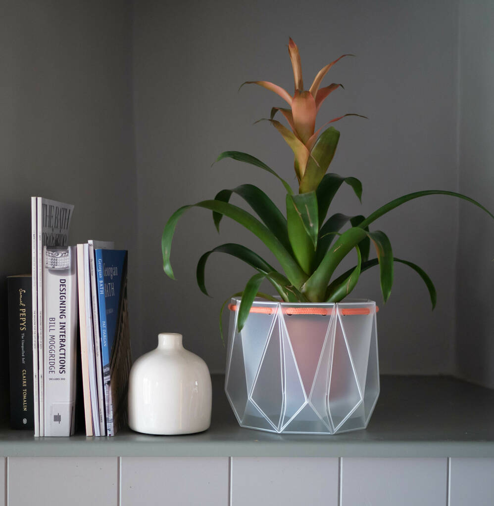 Origami Self Watering Eco Plant Pot: 18cm | Coral Cord, 1 of 7