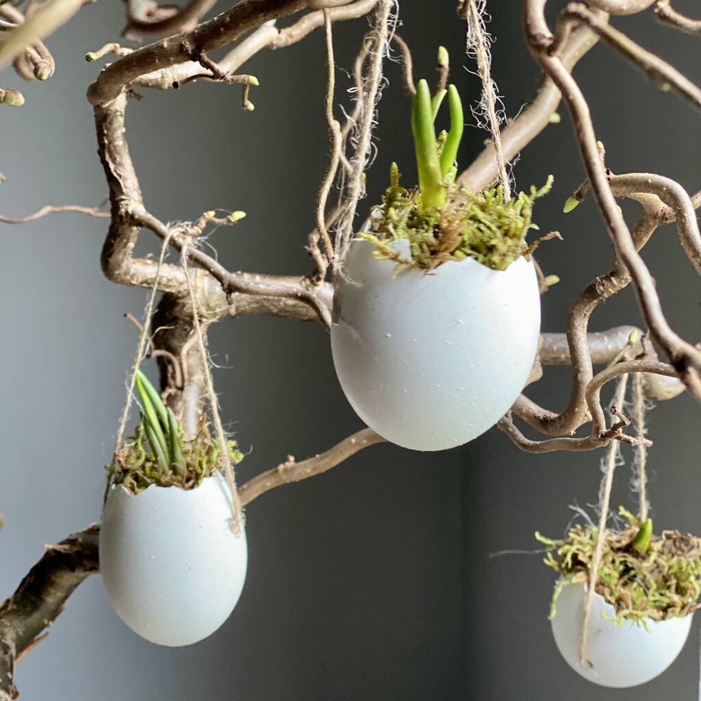 Hanging Eggs Filled With Muscari, 1 of 8