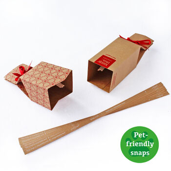 Six Reusable Kraft Crackers You Can Pull, 4 of 7