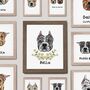 Personalised Pet Portrait For Pitbull Owner, thumbnail 1 of 5