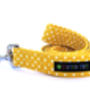 Citrus Dog Collar With Matching Items, thumbnail 3 of 5