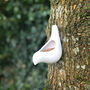 Contemporary White Frost Proof Ceramic Bird Feeder, thumbnail 1 of 4