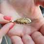 Personalised Gold Plated Feather Message Pendant, thumbnail 3 of 12