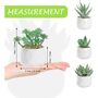 Five Mini Artificial Succulent Plants In White Pots, thumbnail 10 of 11