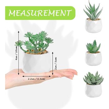Five Mini Artificial Succulent Plants In White Pots, 10 of 11