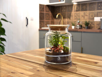 Diy Corked Jar Terrarium Kit | 'Mallorca', 6 of 11
