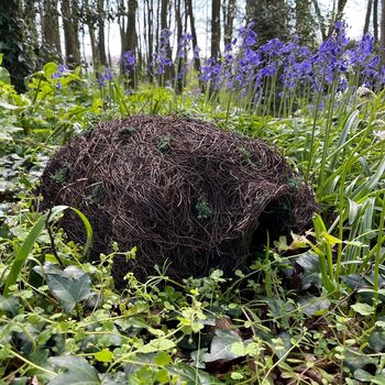 Biscuit The Hedgehog Brushwood House With Nesting Straw, 6 of 7