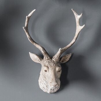 Weathered Stag Head, 3 of 4