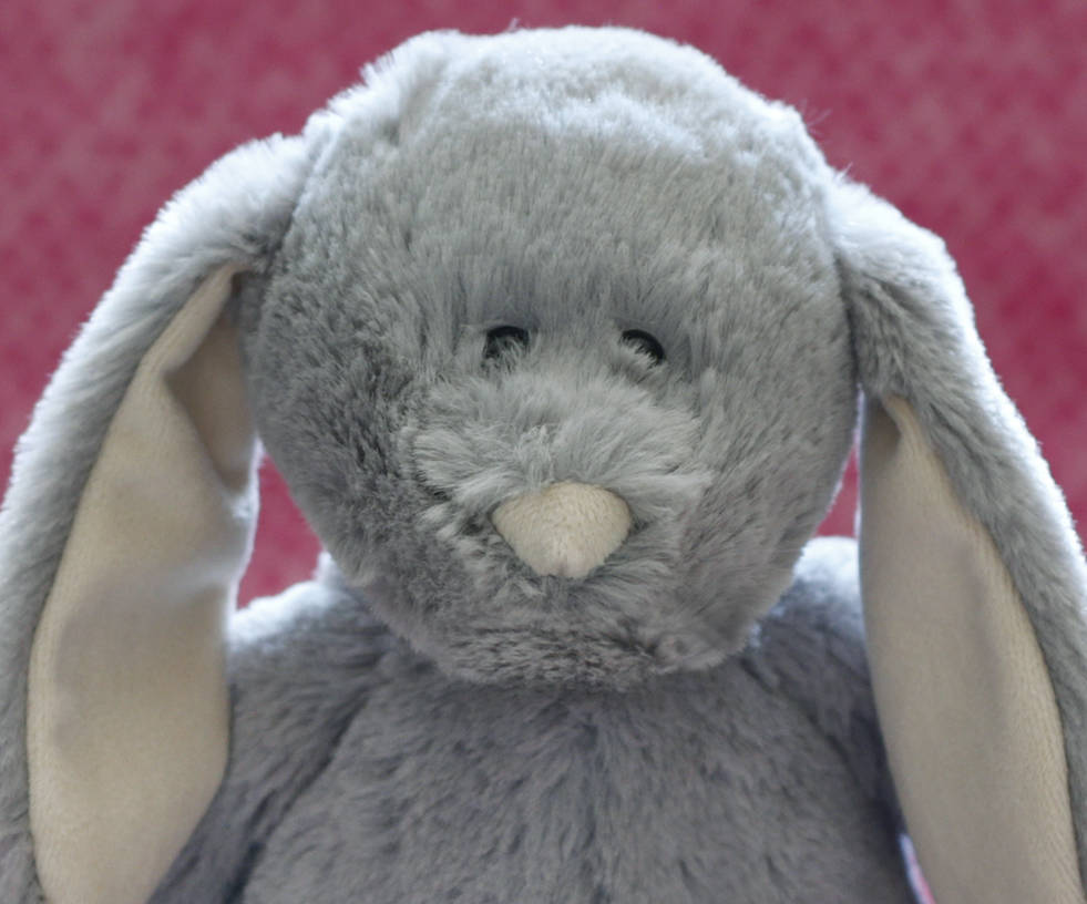 plush bunny head