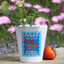 Personalised Grow Your Own Wimbledon Strawberries Plant Pot, thumbnail 2 of 4