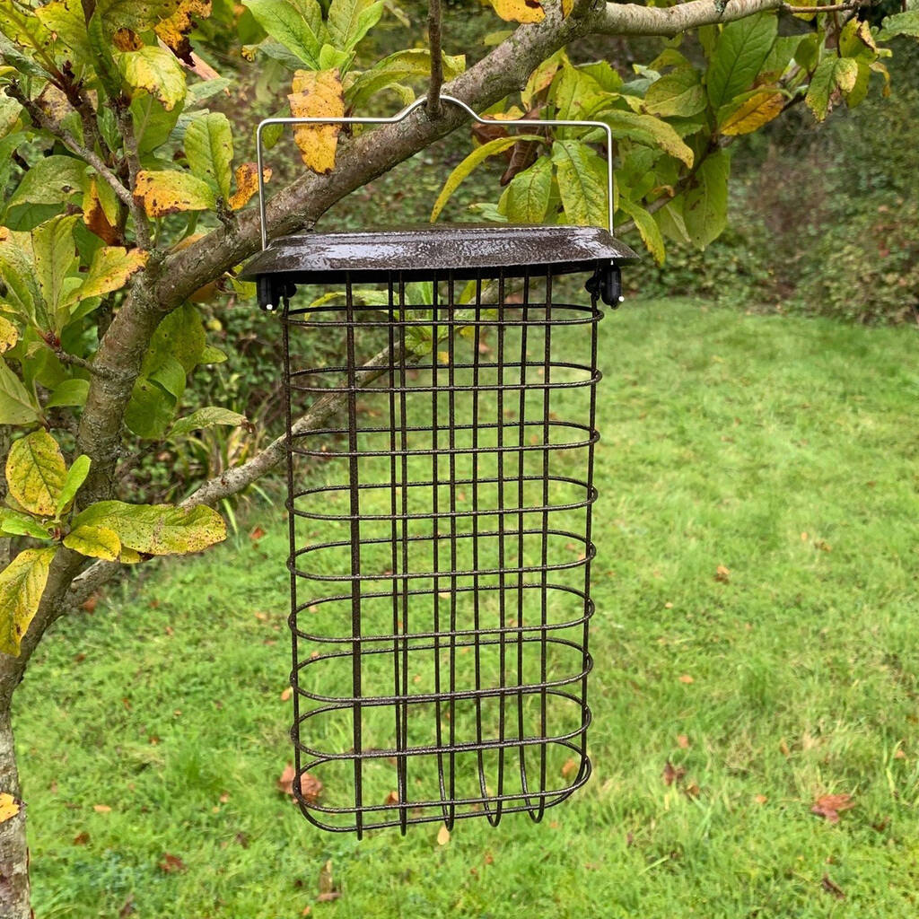 Large Hanging Suet Block Garden Bird Feeder By Garden Selections