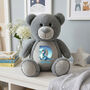 Personalised Dinosaur Alphabet Grey Plush Teddy Bear, thumbnail 2 of 10