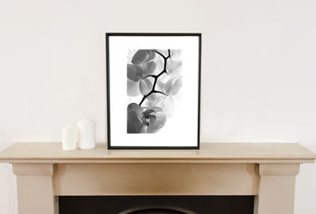 White Orchid Ii, Black And White, Art Print, 2 of 7