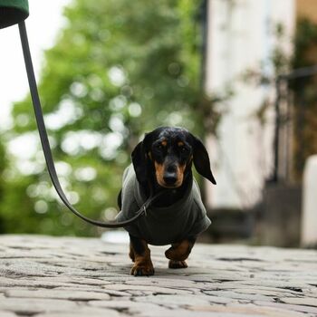 Dachshund Polartec Water Resistant Dog Coat, 2 of 10