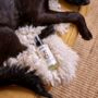 Digby Dog Soothe Spray, thumbnail 1 of 2