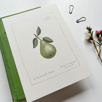 Fruit Botanical Postcard Set, 5 of 11