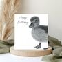 Adorable Duckling Happy Birthday Card, thumbnail 1 of 7