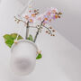 Orla, Hanging Glass Planter, Ideal For Orchids, thumbnail 8 of 12