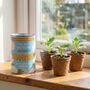 Personalised November Grow Your Own Flower Gift, thumbnail 2 of 4