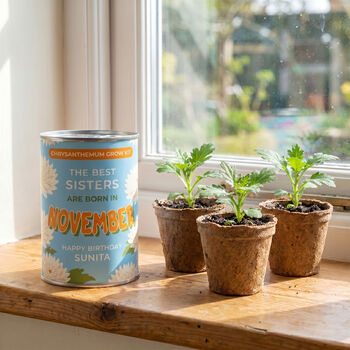 Personalised November Grow Your Own Flower Gift, 2 of 4