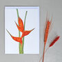 Tropical Card With Heliconia Illustration, thumbnail 1 of 2