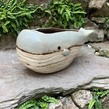 Whale Ceramics By Doris Brixham | notonthehighstreet.com