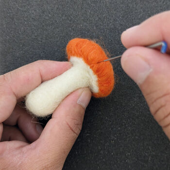 Needle Felting Kit Autumn, 4 of 11