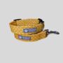Yellow Polka Dot Dog Collar And Lead/Leash, thumbnail 1 of 6