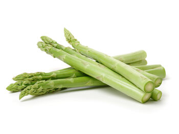 Vegetable Plants Asparagus 'Gijnlim' One X 3 L Pot, 5 of 5