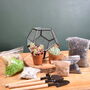 Black Geometric Terrarium Kit With Succulent Or Cactus, thumbnail 3 of 10