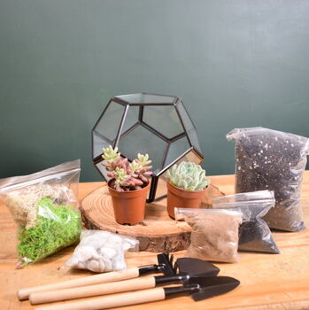 Black Geometric Terrarium Kit With Succulent Or Cactus, 3 of 10