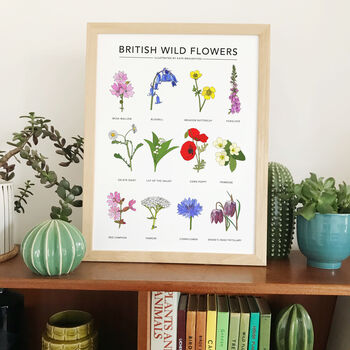 'British Wild Flowers' Print, 2 of 2
