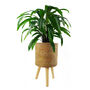 Rattan Effect Composite Planter With Stand, thumbnail 6 of 12