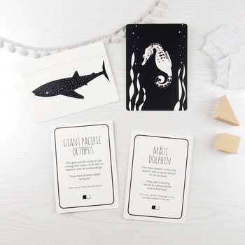 Black And White Baby Flash Cards Ocean Life, 3 of 4