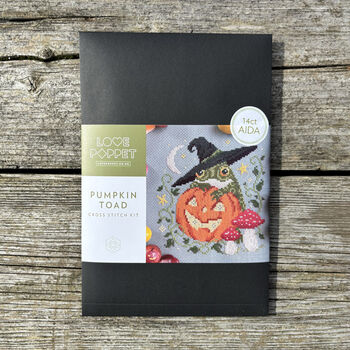 Pumpkin Toad Modern Cross Stitch Kit, 3 of 5