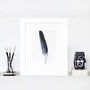 Quill Feather Still Life Fine Art Print, thumbnail 1 of 3