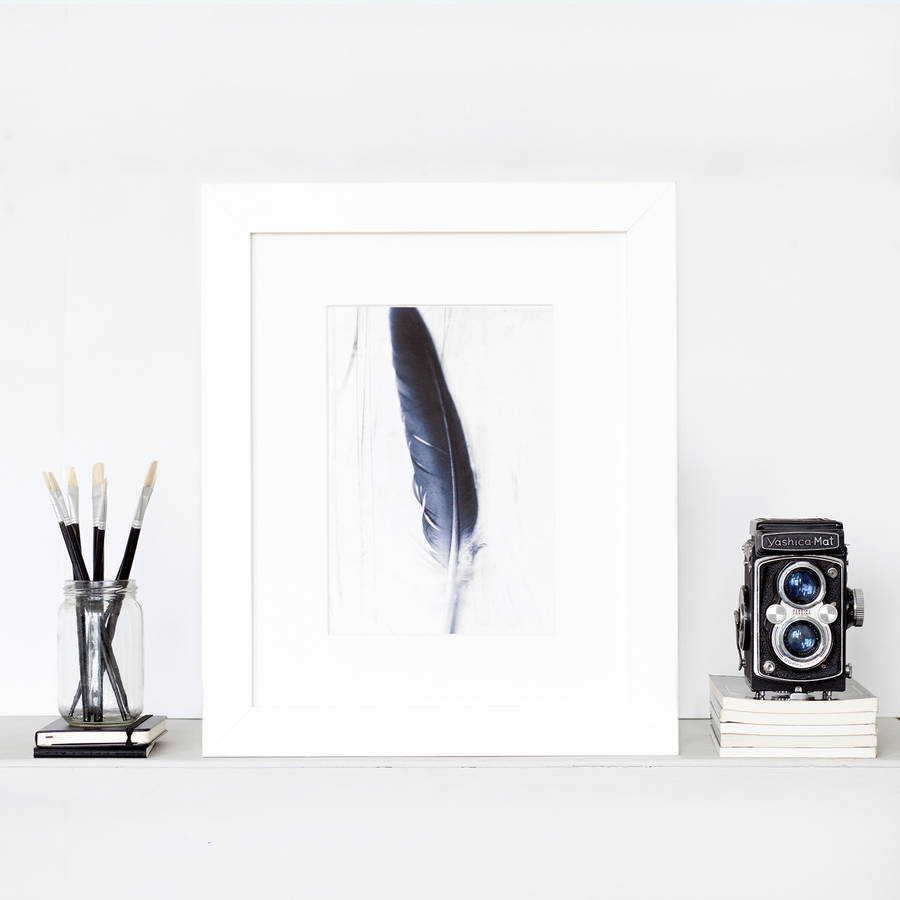 Quill Feather Still Life Fine Art Print, 1 of 3