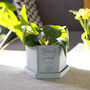 Personalised Anniversary Hexagon Plant Pot, thumbnail 11 of 11