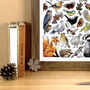 Garden Wildlife Of Britain Wildlife Print, thumbnail 9 of 9