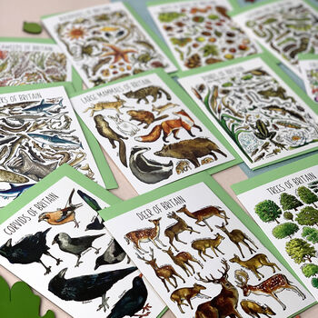 Wildlife Of Britain Greeting Cards Pack Volume Two, 4 of 9