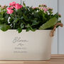 Engraved 'Bloom Where You Are Planted' Planter, thumbnail 1 of 3