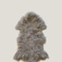 100% Natural Mongolian Sheepskin Rug Small, thumbnail 5 of 12