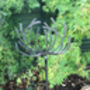 Three X 5 Ft Clematis Plant Pin Ready Rusted, thumbnail 2 of 2