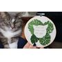 Plant Lady Is The New Cat Lady Embroidery Hoop, thumbnail 6 of 6