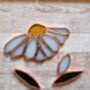 Daisy Stained Glass Everlasting Flowers, thumbnail 8 of 8