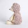 Maisie Hedgehog Crochet Kit, thumbnail 2 of 5
