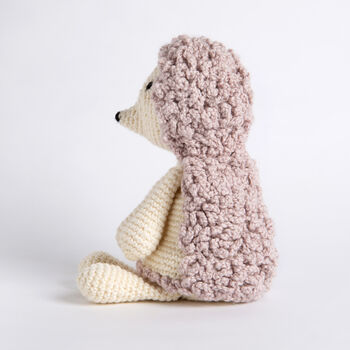 Maisie Hedgehog Crochet Kit, 2 of 5