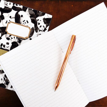Embarrassment Of Pandas A5 Lined And Plain Notebook Set, 5 of 7