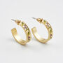 Blackberry Bramble Gold Hoop Earrings, thumbnail 1 of 7